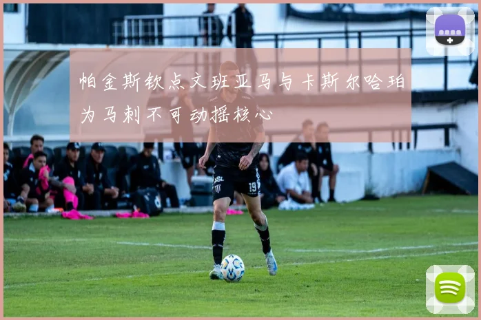 帕金斯钦点文班亚马与卡斯尔哈珀为马刺不可动摇核心